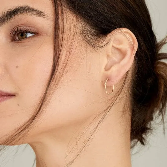 14ct Gold Stargazer Diamond Hoop Earrings EAU002-05YG