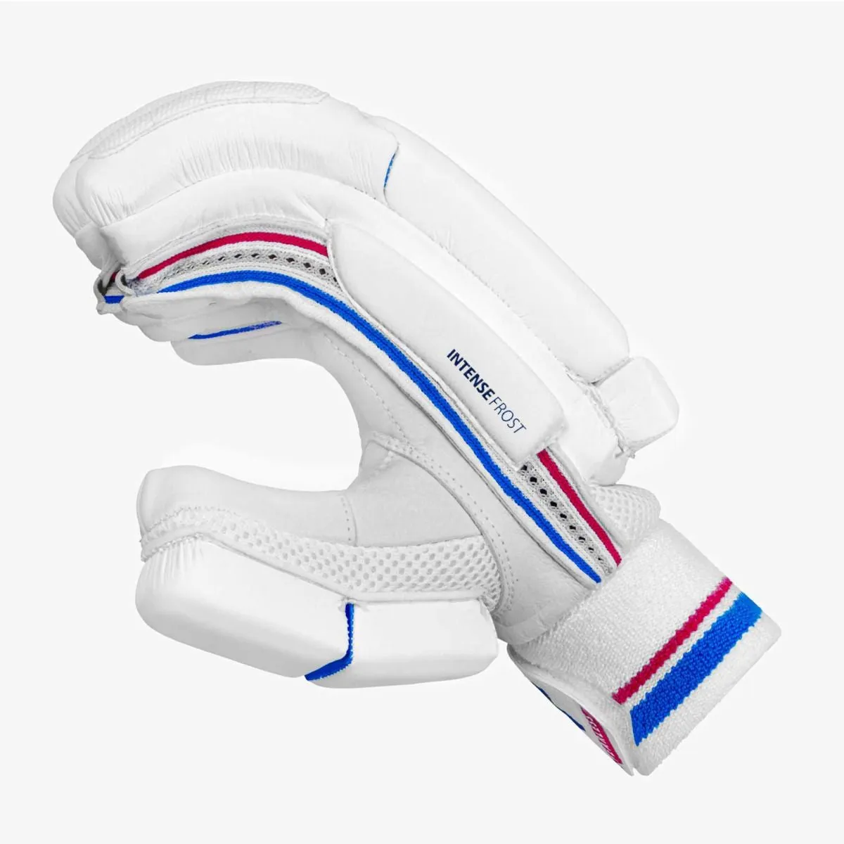 DSC Intense Frost Cricket Batting Gloves Men's