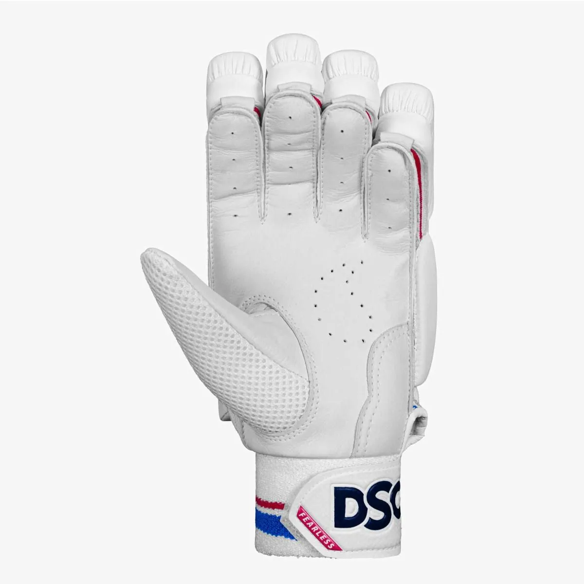 DSC Intense Frost Cricket Batting Gloves Men's