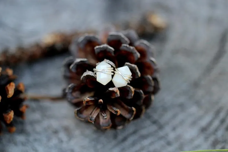 Gemstone Pike Studs